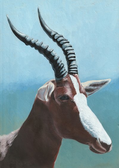 Portrait majestueux d