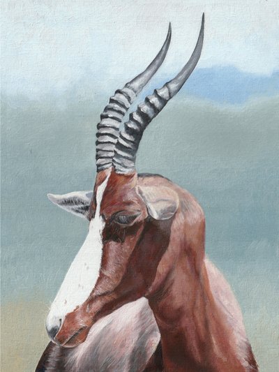 Portrait serein d
