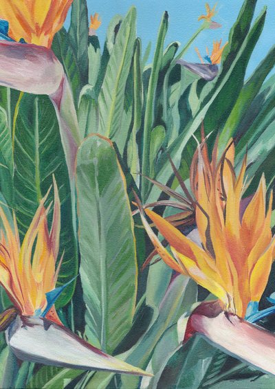 Oiseau de paradis aux couleurs éclatantes - Viccy Wanliss