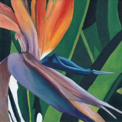 Oiseau de paradis aux couleurs éclatantes - Viccy Wanliss