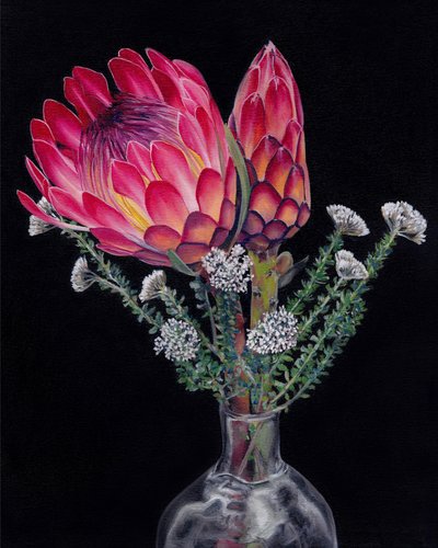 Fleurs éclatantes de protéa - Viccy Wanliss