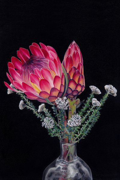 Des fleurs de protéa aux couleurs éclatantes - Viccy Wanliss