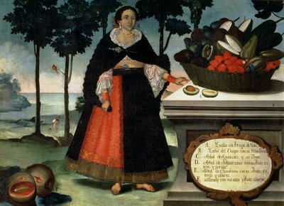 Femme indienne en tenue complète - Vicente Alban