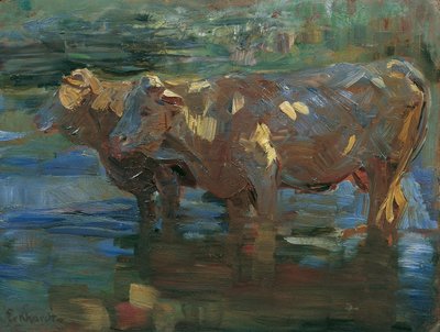 Vaches à l