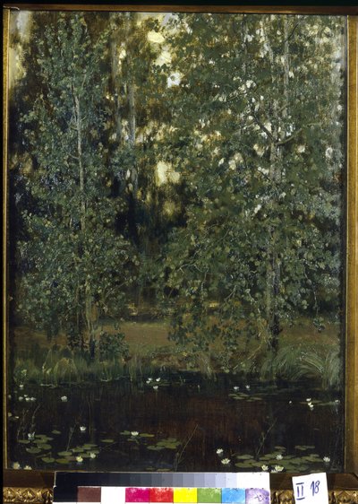 Étang dans Akhtyrka (ou Okhtyrka, Ukraine) - Victor Mikhailovich Vasnetsov