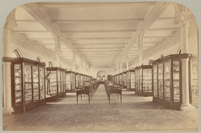 Pl. V. Étage supérieur : Fossiles - Victor Prevost, Gaston L. Feuardent and Co., New York