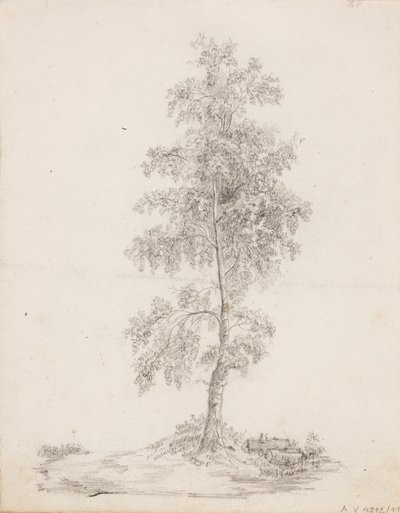 Birch - Victoria Åberg