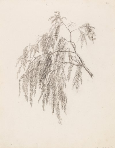 Branche - Victoria Åberg