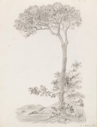 Arbres - Victoria Åberg