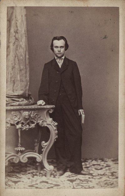 Portrait du compositeur Anton Rubinstein 1829-1894 - Vienna . Photo studio Franz Schultz