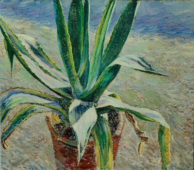 Agave, 1891 - Viktor Elpidiforovich Borisov Musatov
