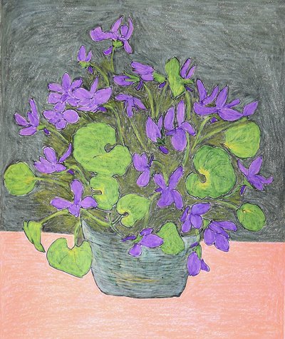 Violettes violettes en pot - Viktoriia Saunina