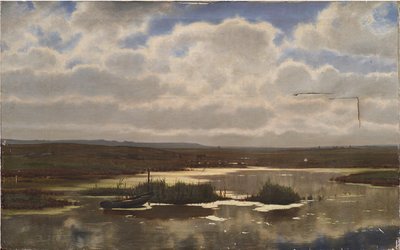 Landes avec une tourbière - Vilhelm Groth