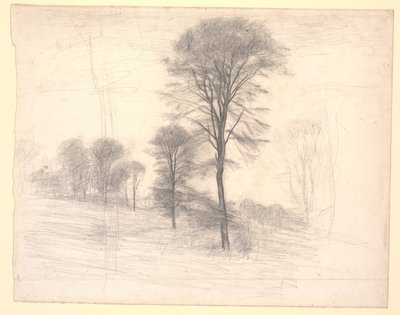 Paysage avec arbres dispersés. "Ryet" près du lac de Farum - Vilhelm Hammershøi