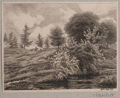 Collines près d