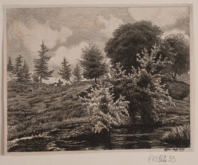 Collines près d