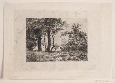 Chênes à la lisière d