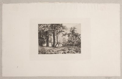 Chênes à la lisière d