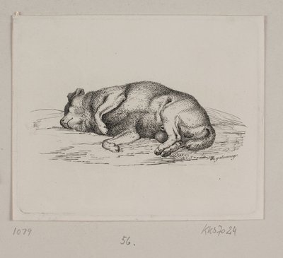Un chien couché - Vilhelm Kyhn