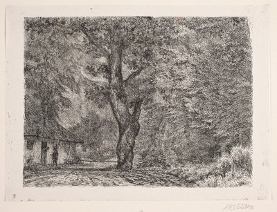 La maison dans la forêt - Vilhelm Kyhn