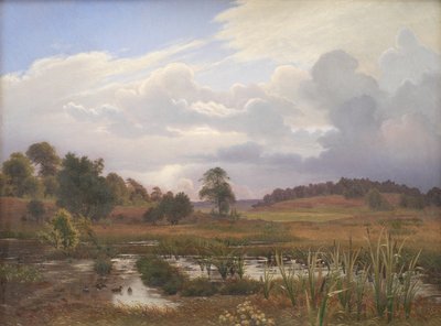 Paysage près de la forêt Nordskoven, Jægerspris, Zélande - Vilhelm Kyhn