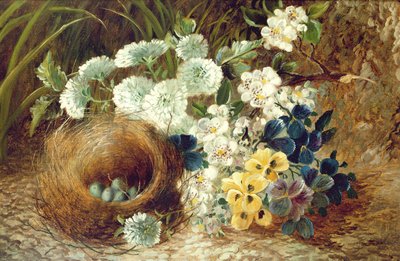 Nature Morte de Fleurs et Nid d
