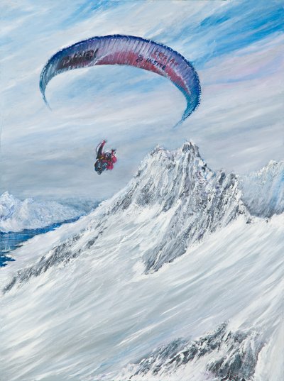 Flier antarctique, 2015 - Vincent Alexander Booth