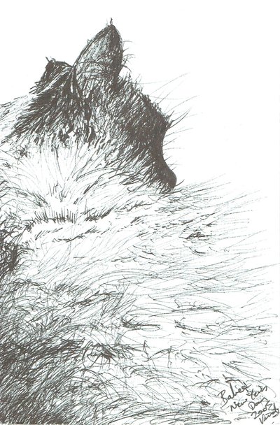 Bébé se réchauffe pour le Nouvel An - Vincent Alexander Booth