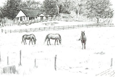 Chevaux en haut du chemin - Vincent Alexander Booth