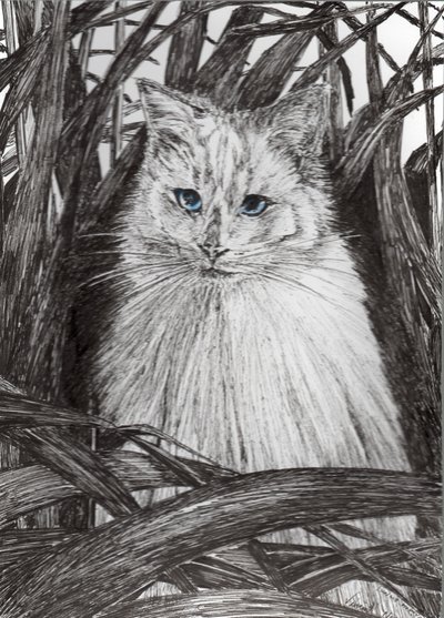 Monty dans la jungle - Vincent Alexander Booth