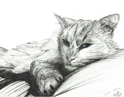 Monty, en train de faire la sieste - Vincent Alexander Booth
