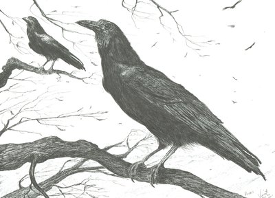 Observateurs, 2011 - Vincent Alexander Booth