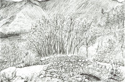 Vieux pont de pierre dans le Lake District, 2005 - Vincent Alexander Booth