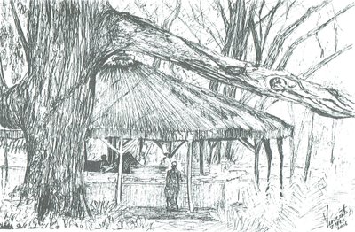 Bar extérieur, lac Naivasha - Vincent Alexander Booth
