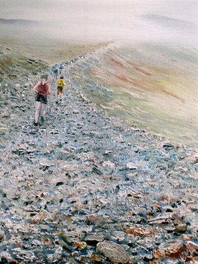 Course sur Snowdon - Vincent Alexander Booth