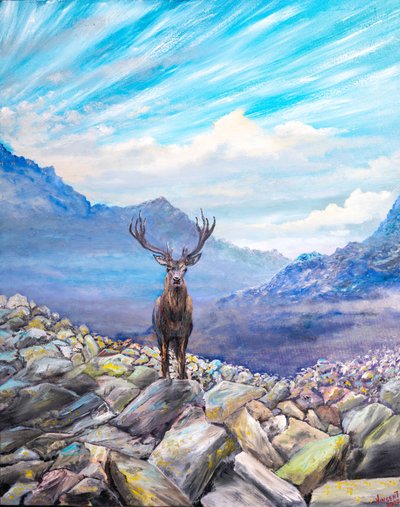 Cerf ! rencontre sur les rochers - Vincent Alexander Booth