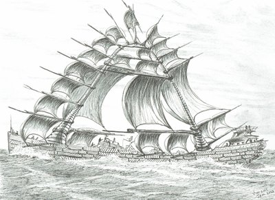 Créateurs de tempêtes Baie des Buzzards, 2022 - Vincent Alexander Booth