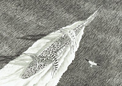 Créateurs de tempêtes Cap Canaveral - Vincent Alexander Booth