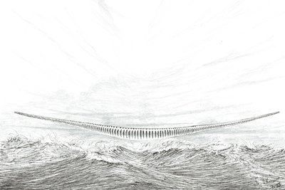 Créateurs de tempête Cape Leveque - Vincent Alexander Booth