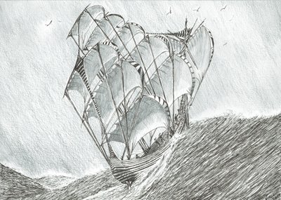 Créateurs de tempêtes Mer de Corail, 2017 - Vincent Alexander Booth