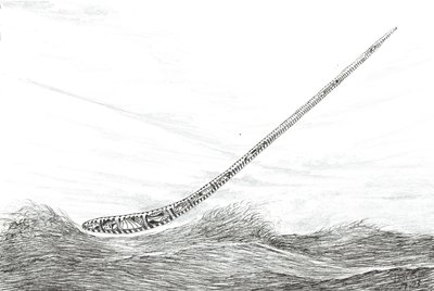Créateurs de tempêtes Lac Mweru, 2023 - Vincent Alexander Booth