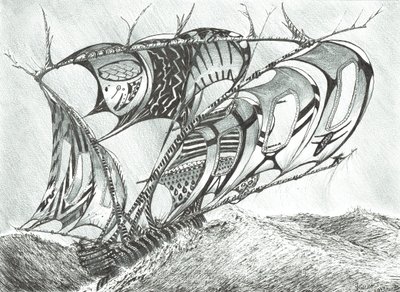 Créateurs de tempêtes Mer des Sargasses, 2017 - Vincent Alexander Booth