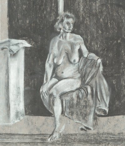 Le Modèle - Vincent Alexander Booth