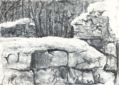 Mur dans les bois d