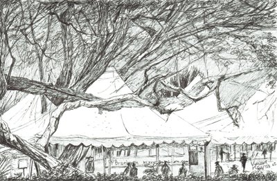 Tentes de mariage au lac Navaisha, Kenya, 2003 - Vincent Alexander Booth