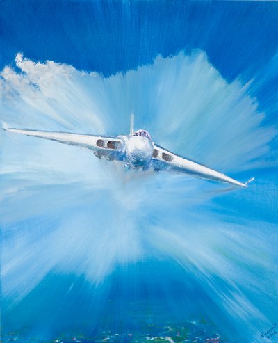 Vulcain blanc, 2016 - Vincent Alexander Booth