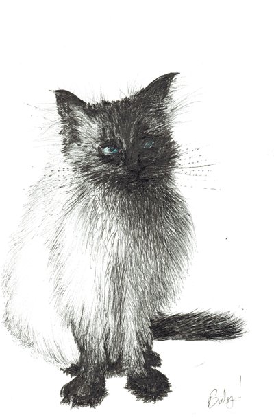 Jeune bébé, 2004 - Vincent Alexander Booth