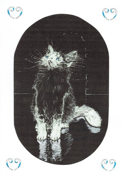 page1, Le Château dans la forêt de Findhorn, 2006 - Vincent Alexander Booth