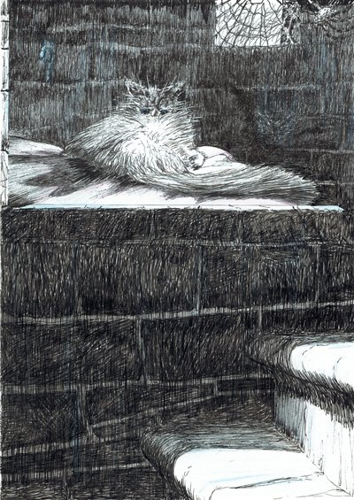 page21, Le Château dans la forêt de Findhorn, 2006 - Vincent Alexander Booth