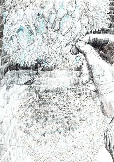 page43, Le château dans la forêt de Findhorn, 2006 - Vincent Alexander Booth